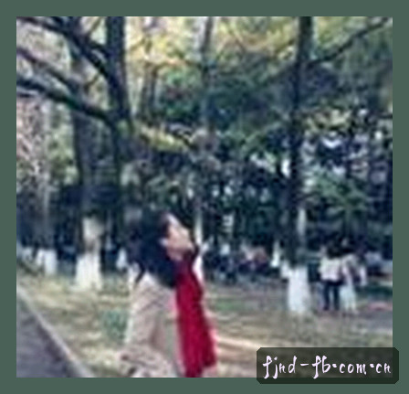 赵刚