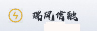 权威战略伙伴